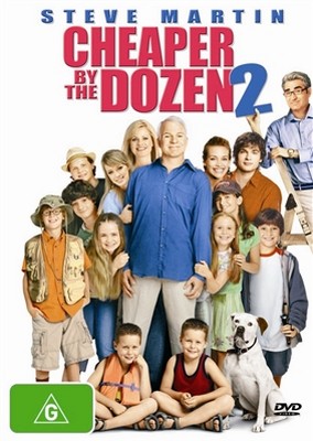 Cheaper By The Dozen 2 (DVD)