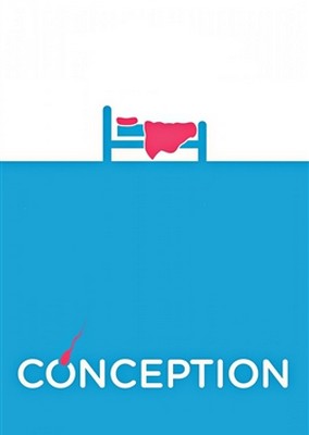 Conception