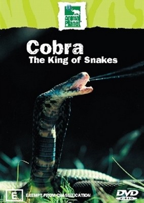 Discovery - Cobra - The King Of Snakes