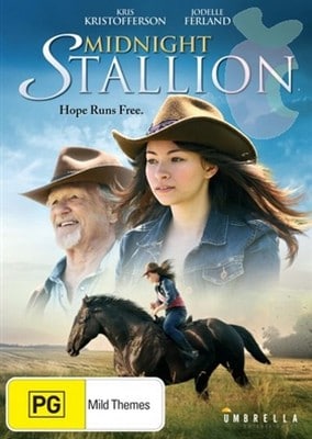Midnight Stallion