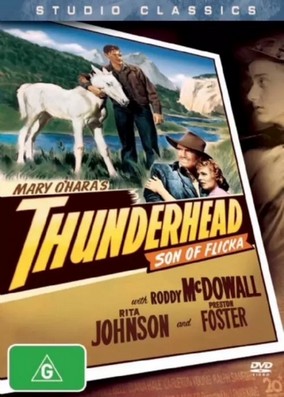 Thunderhead - Son of Flicka (DVD)