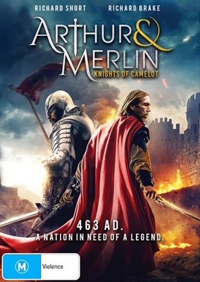 Arthur & Merlin - Knights of Camelot (DVD)