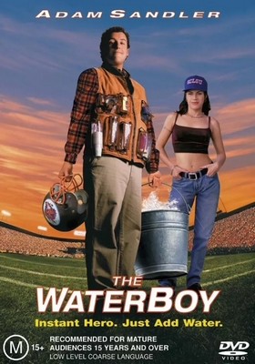 The Waterboy (DVD)