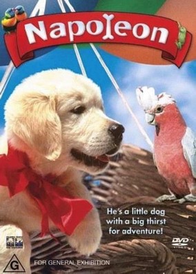Napoleon (DVD)